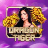D9D9 online casino HD live streaming interface with clear dealer video feed