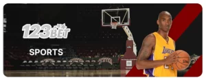 D9D9 basketball sports action with players competing on court showcasing games and login experience