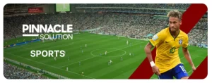 D9D9 football sports match showing stadium action and competitive gameplay with register access and app features